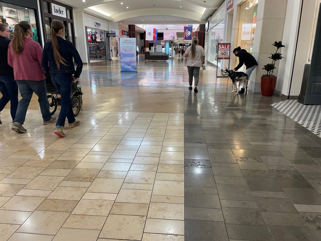 people walking in the mall, one with a stroller, one with a dog