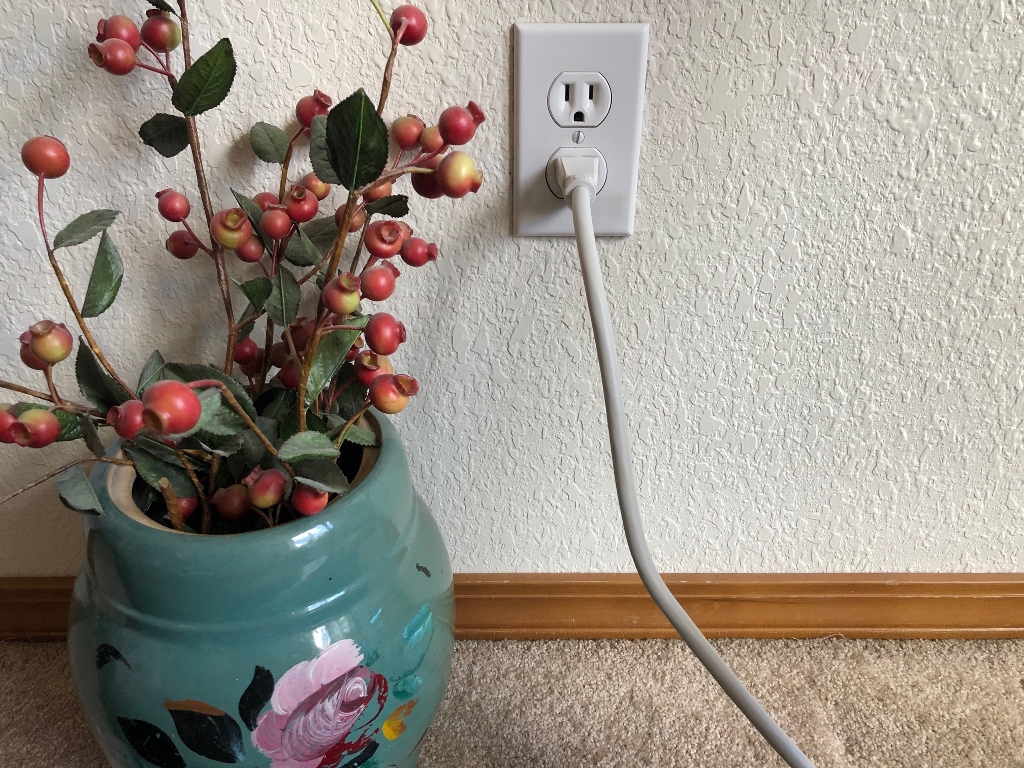 white cord plugged into an outlet with a vase and dried flowers next to it