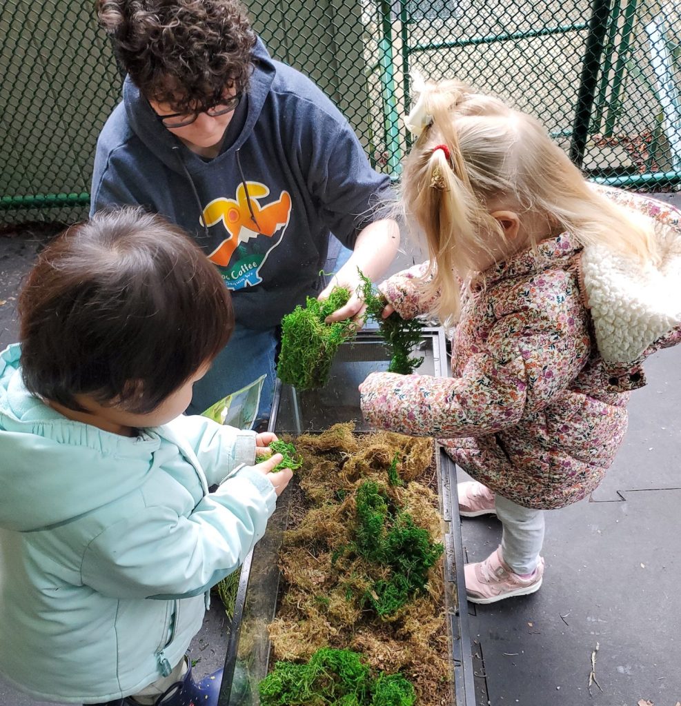 three kids huddle around a wagon full of plants