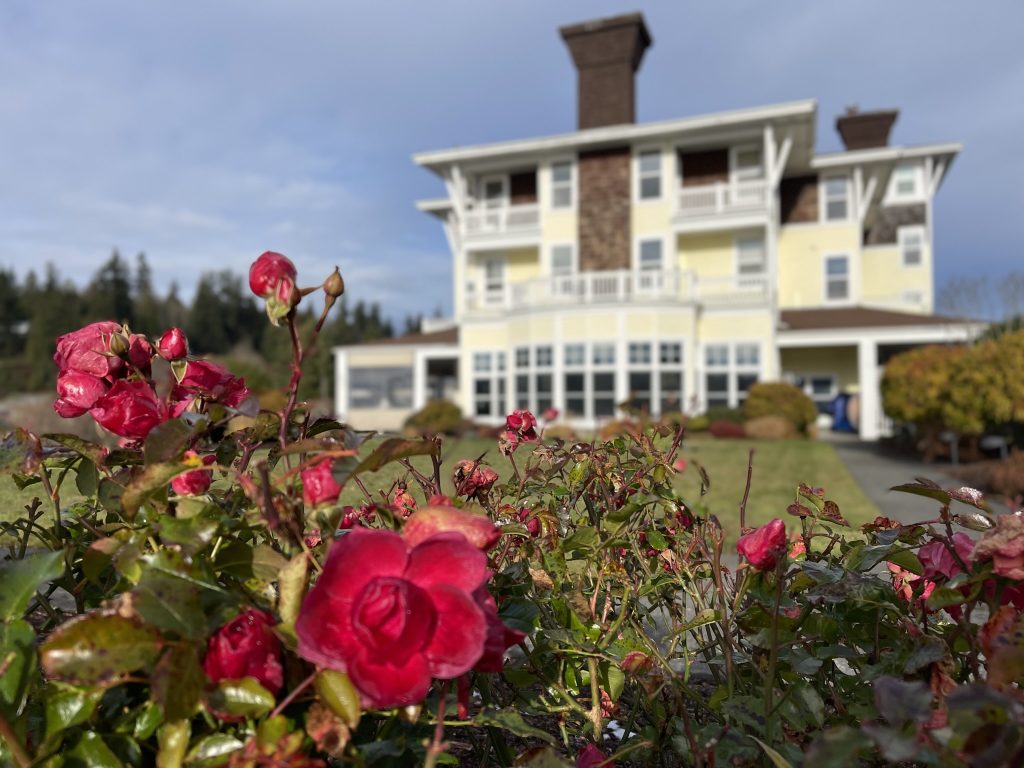 Resort at Port Ludlow with roses blooming