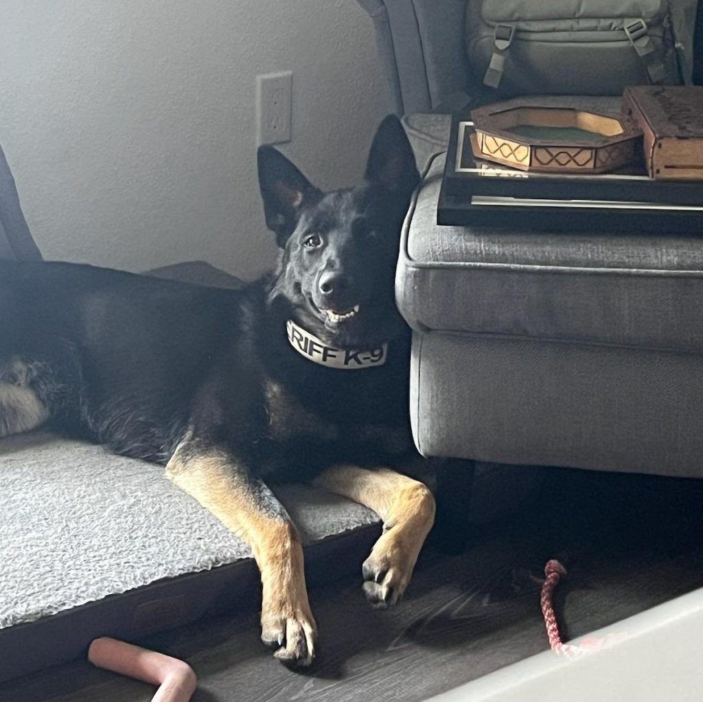 Isa on a dog bed with her head against her bed.