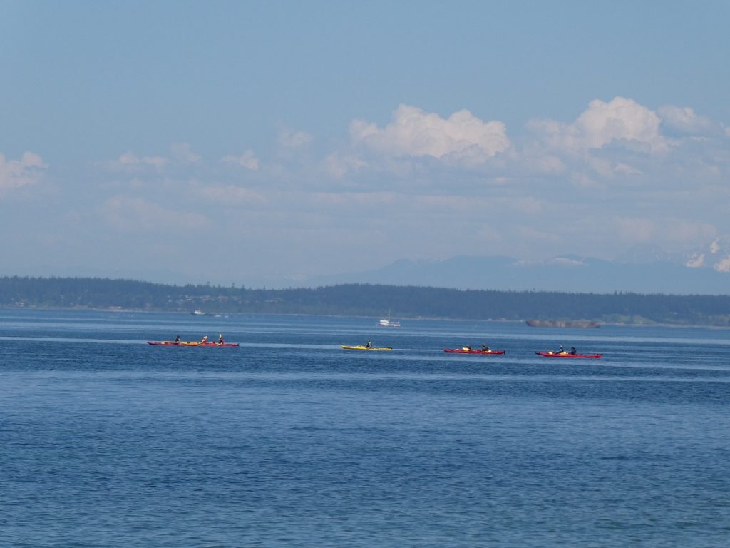 kayaks on the ocean