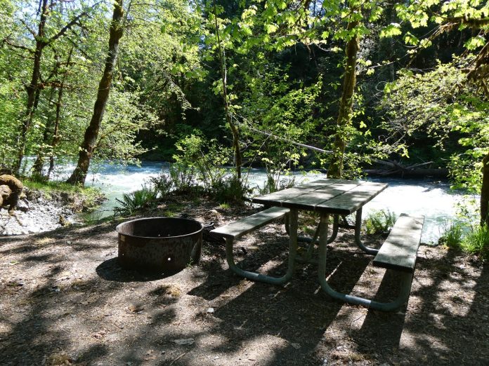 wooded camping area with a picnic table and metal fire pit