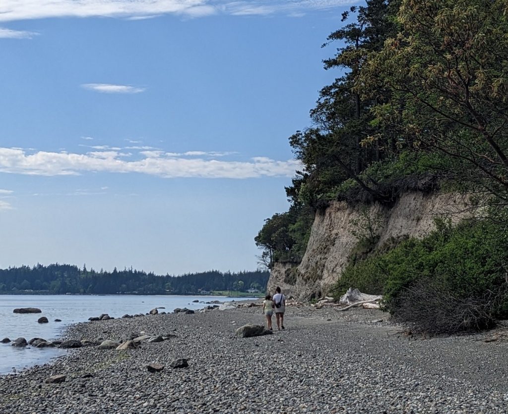 people walking along the beach with a treed cliff rising on the right and the ocean on the left