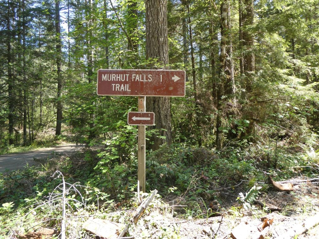 brown trail sign that says, 'Murhut Falls trails 1' in a forest