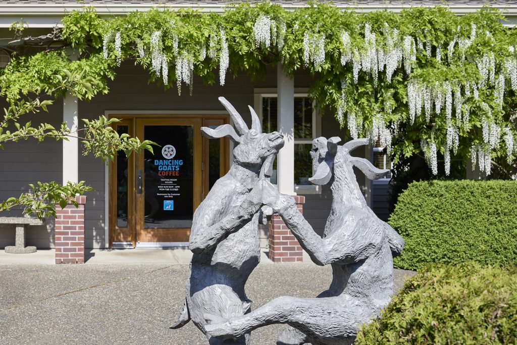 dancing goat statue outside the Dancing Goats Coffee in Olympia