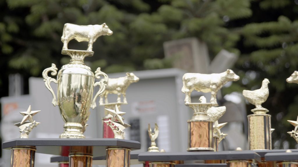 close up of gold trophies with cows, stars and chickens on top