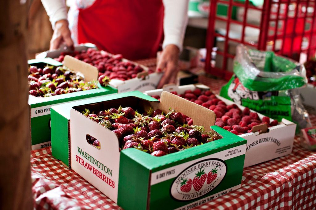 green and white cardboard boxes full of strawberries on a red and white checked tablecloth