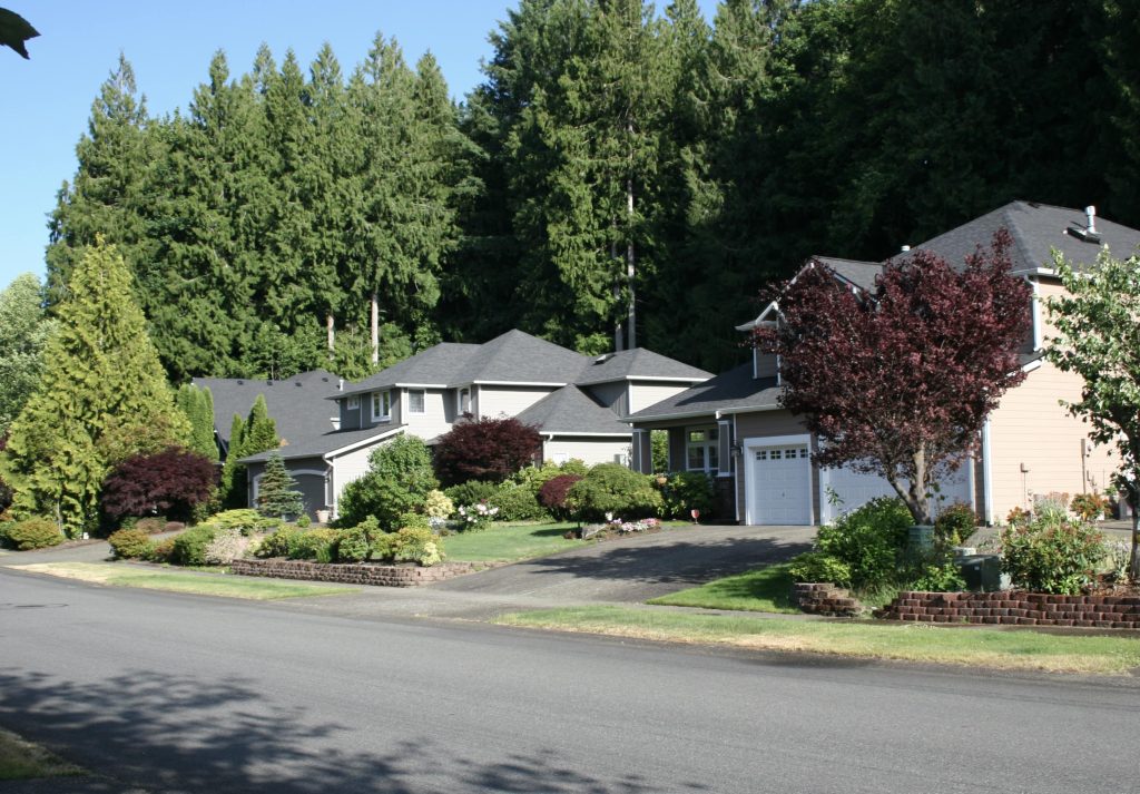 house surrounded by tall evergreens and a road out front