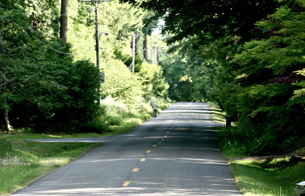 two lane paved road surrounded by green trees and bushes