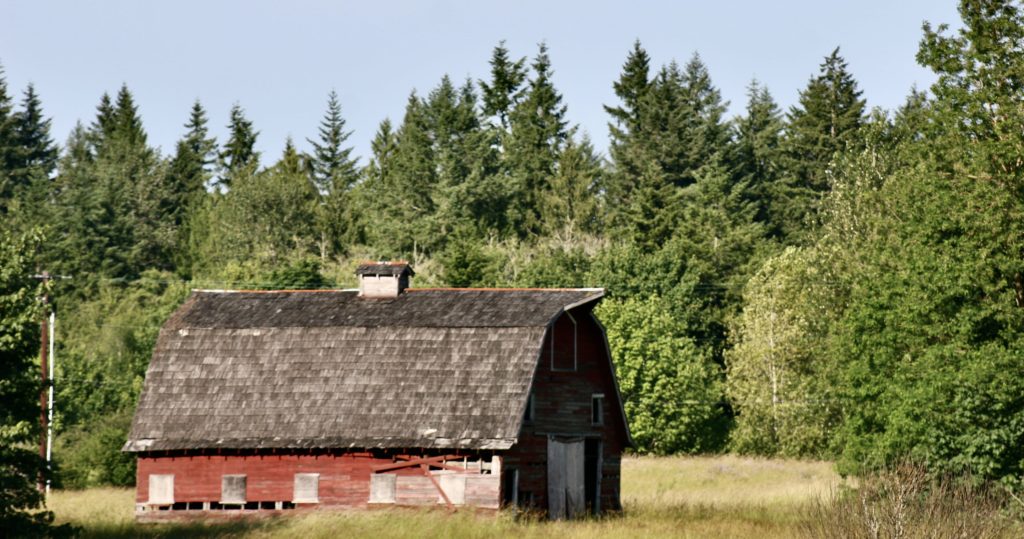 large red barn with a shingled roof in a field
