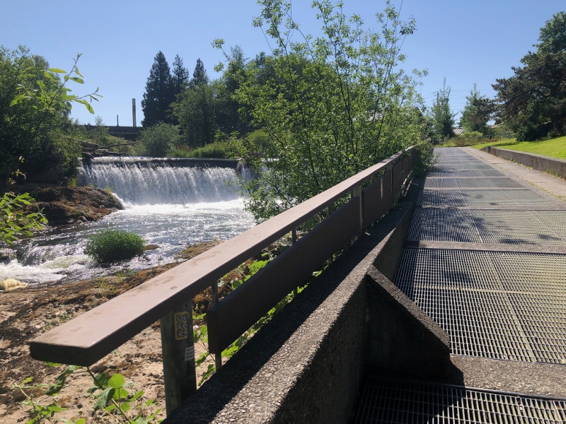 wood walkway railing with the Tumwater Falls on the left
