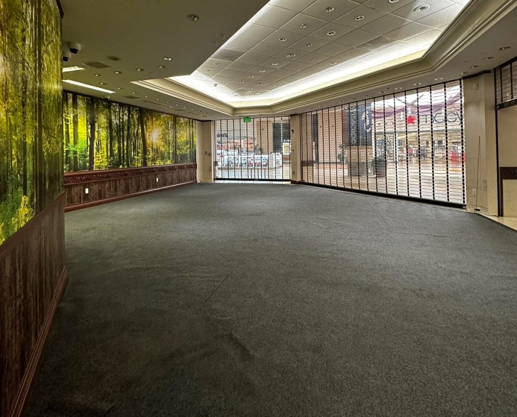 large empty retail space with plant wallpaper on one wall. Macy's can be seen through the shut gates at the mall entrance 