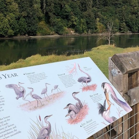information sign on the railing of the wood walk overlooking the water at Frank Jr. Nisqually National Wildlife Refuge