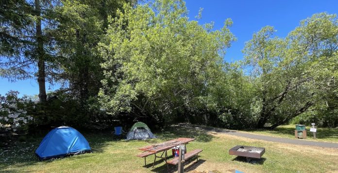 two tents pitched under tress in a grassy campsite with two picnic benches in front