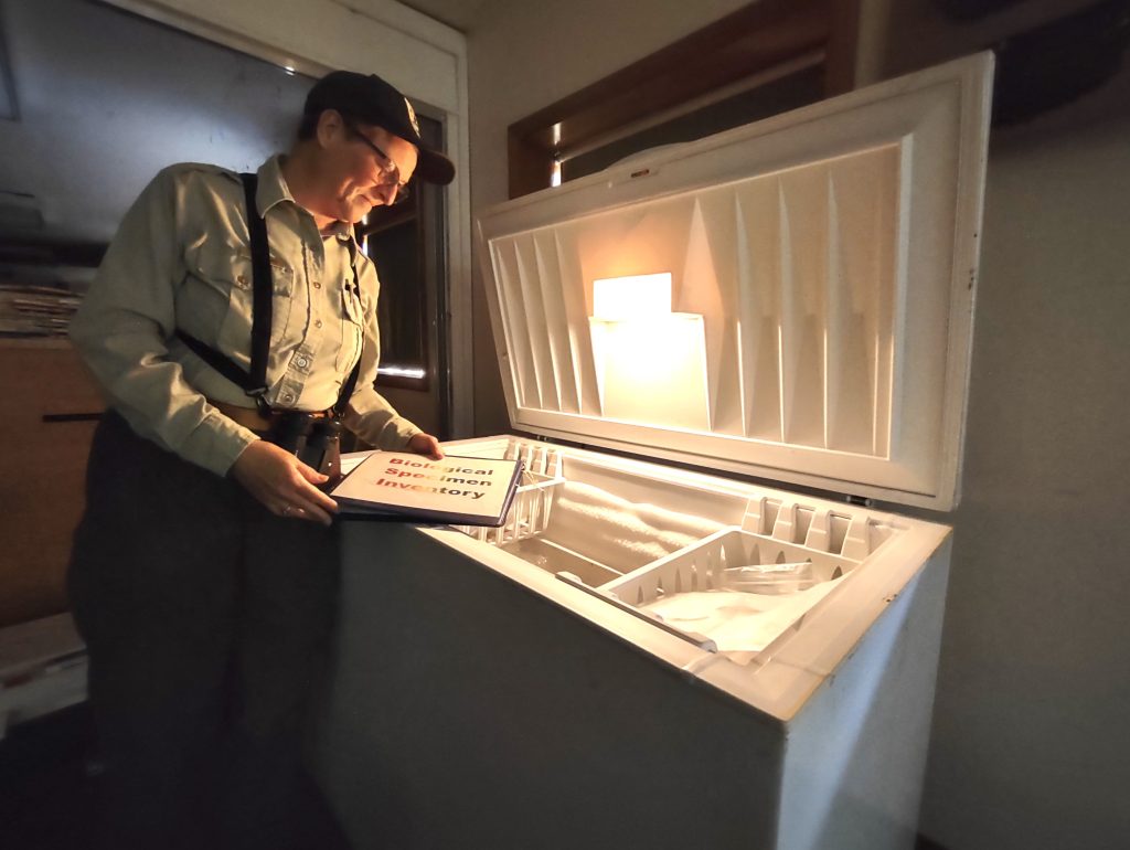A person with a binder, standing in front of a large chest freezer with its lid open and a light on