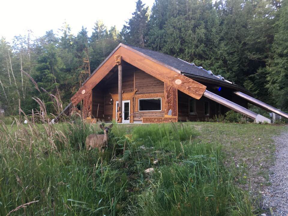 wooden-cabin like fiber studio among the trees