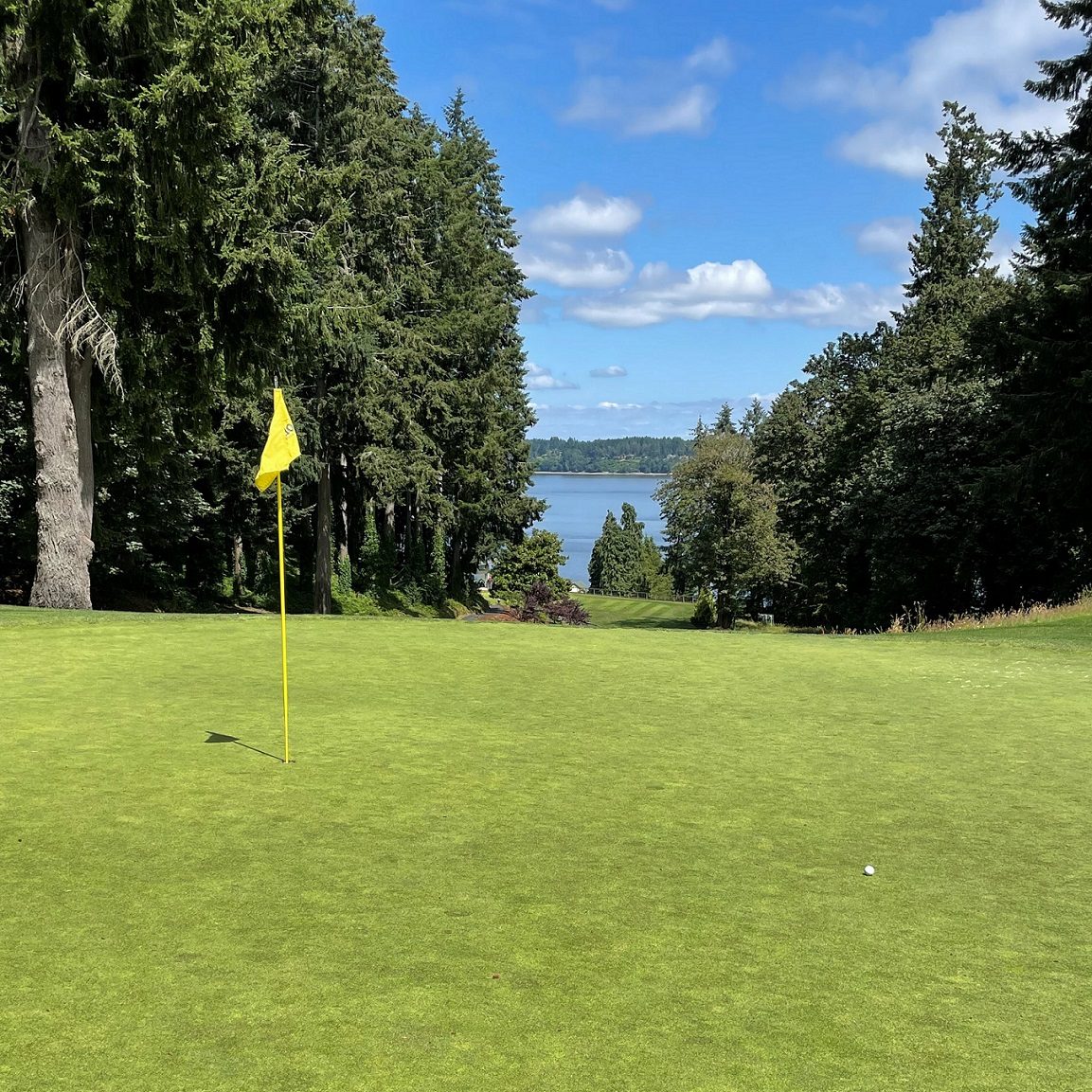 photo of a golf course green with a yellow hole flag. Evergreen trees are on either side and the Puget Sound can be seen through them in the distance