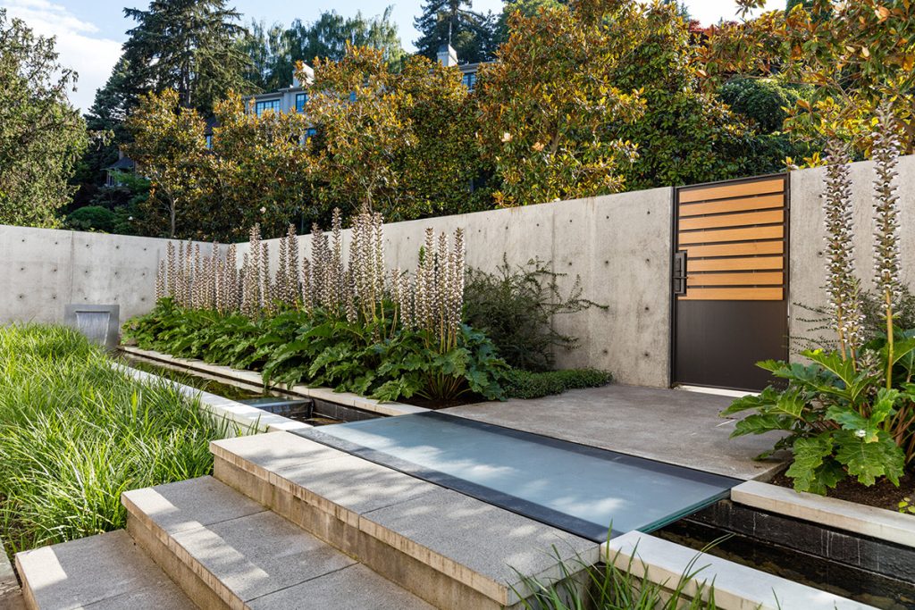 a backyard with concrete stepsa nd garden beds, surrounded by a concrete way with a modern metal and wood door.