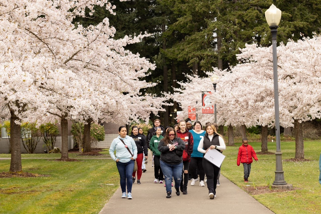 Saint Martin's University staff lead students and parents on a tour down a concrete walkway with blossoming trees