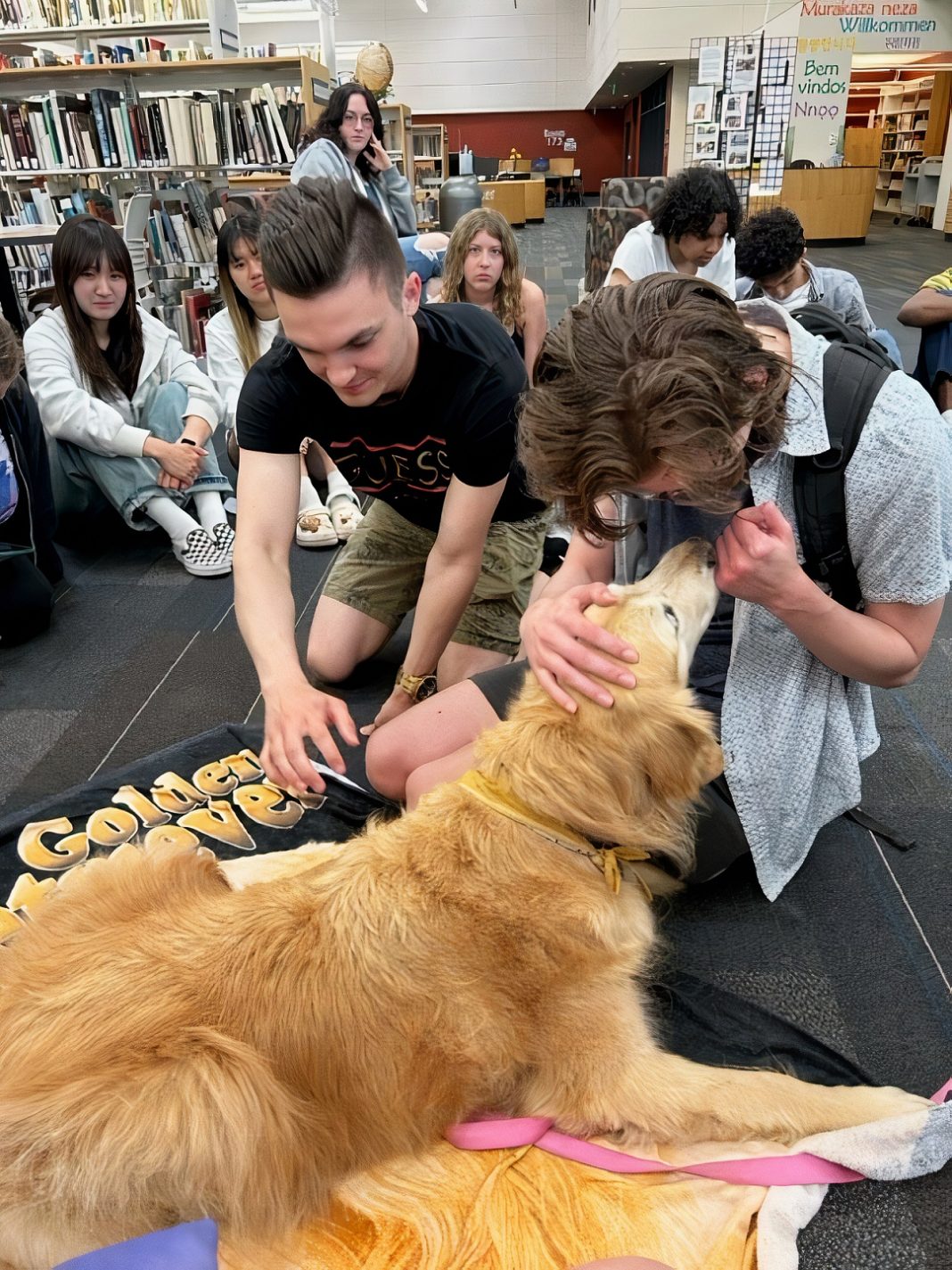 two college students pet a golden retriever that is lying down