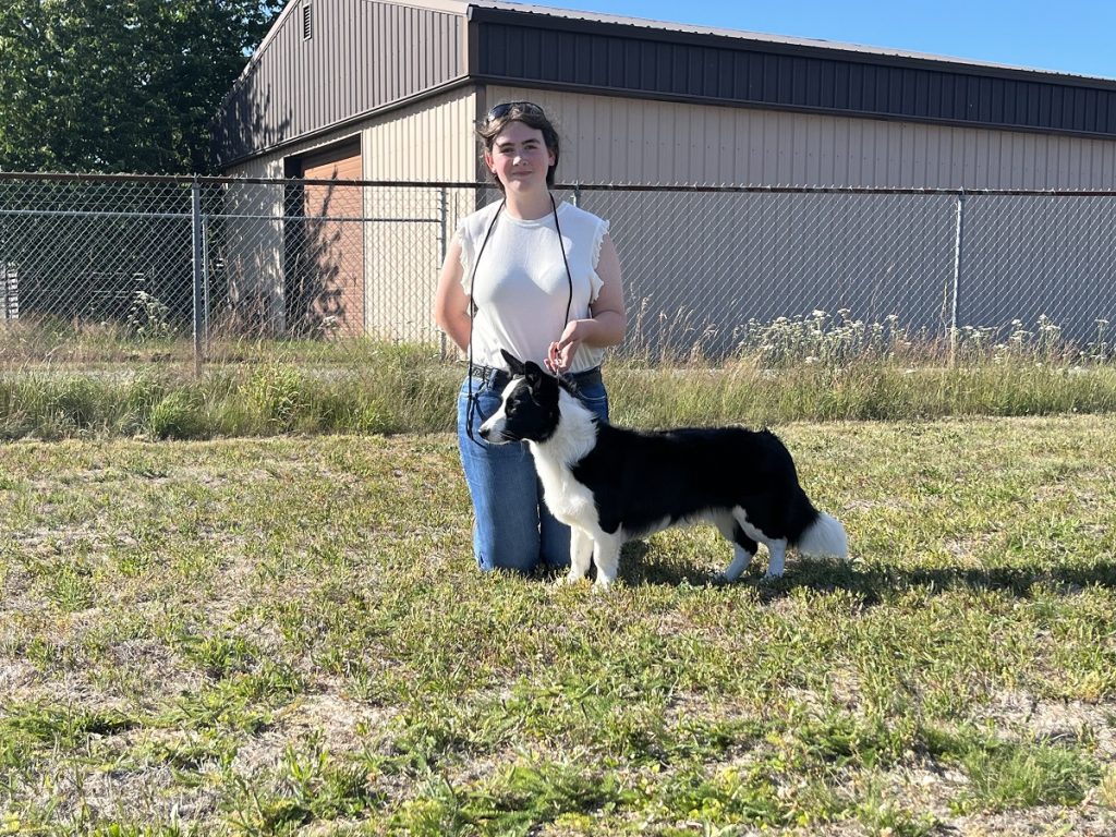 Rowan kneeing in jeans and a white shirt next to a black and white corgi