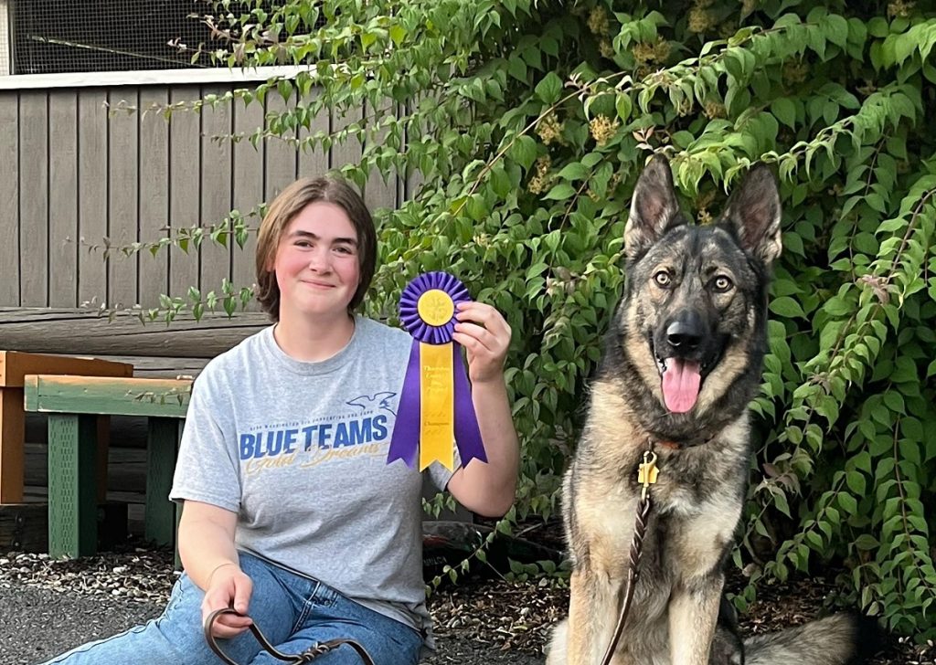 a girl in jeans and a grey shirt sits on the ground holding up a purple and yellow award rosette next to her shepherd dog mix who is also sitting.