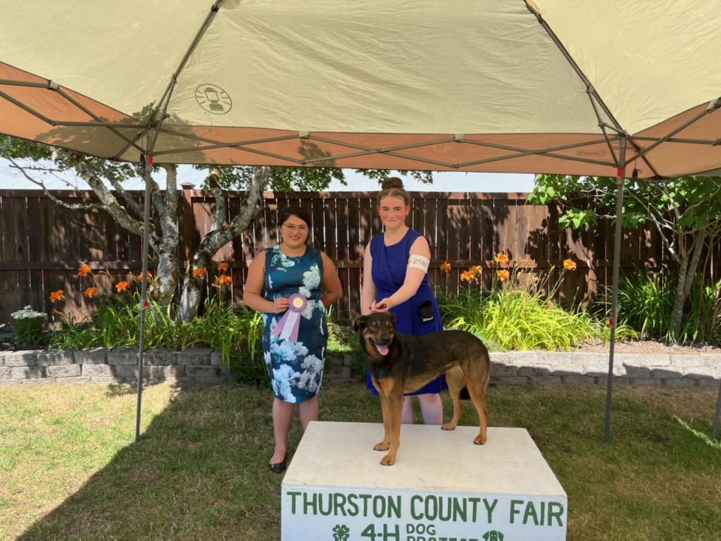 Rowan standing by a her dog on a podium that reads, "Thurston County Fair, 4-H Dog" a woman stands behind her with a large purple award rosette