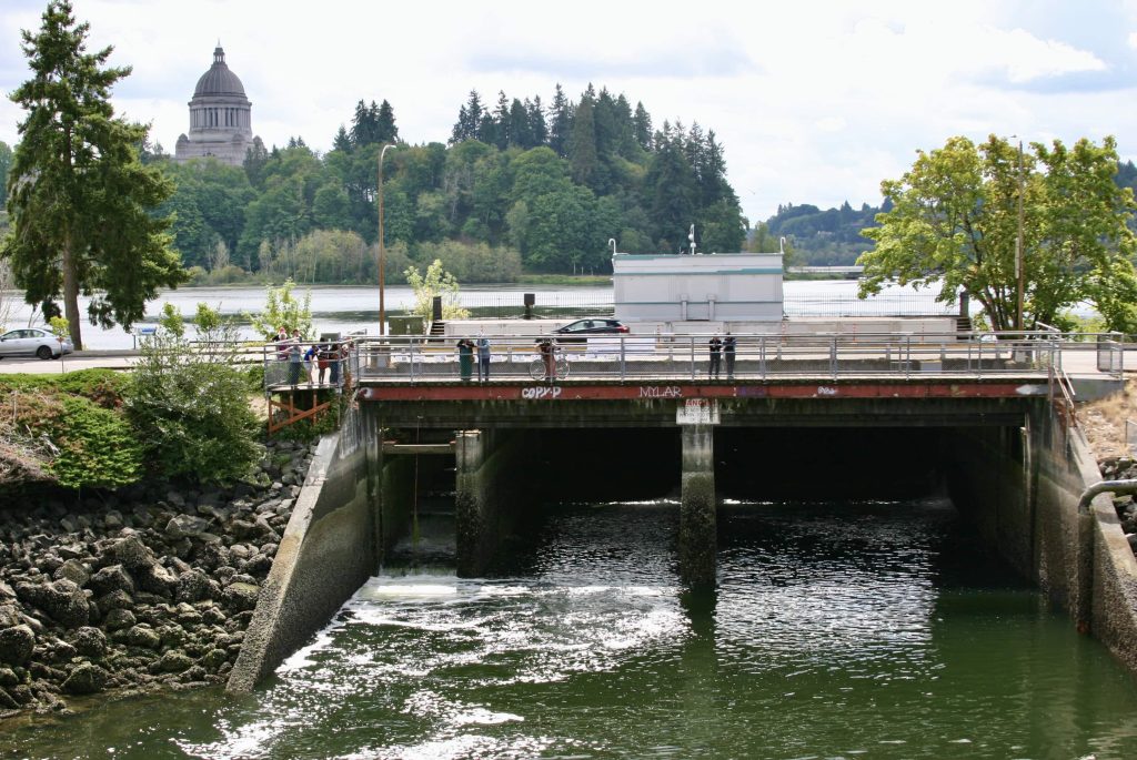 Fifth Avenue bridge with a fish ladder on the right