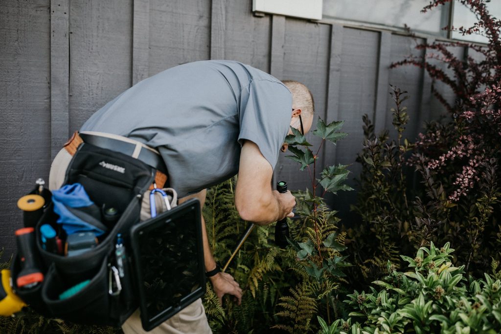Boggs Inspection Services technician inspecting a house behind some plants