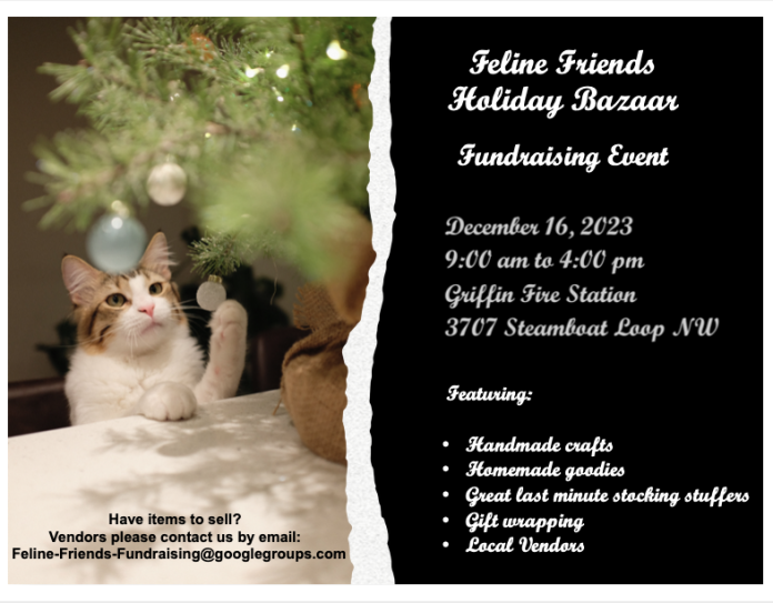 Feline Friends Holiday Bazaar ThurstonTalk