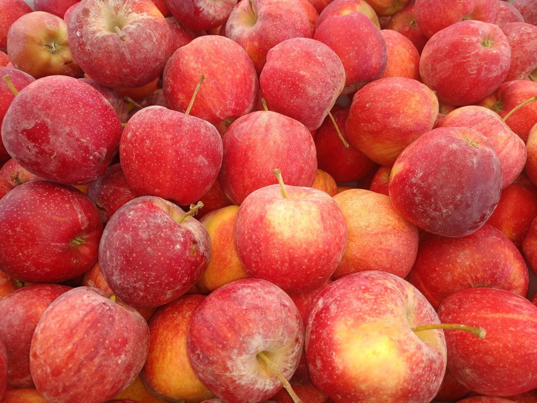 close up of a large group of red apples