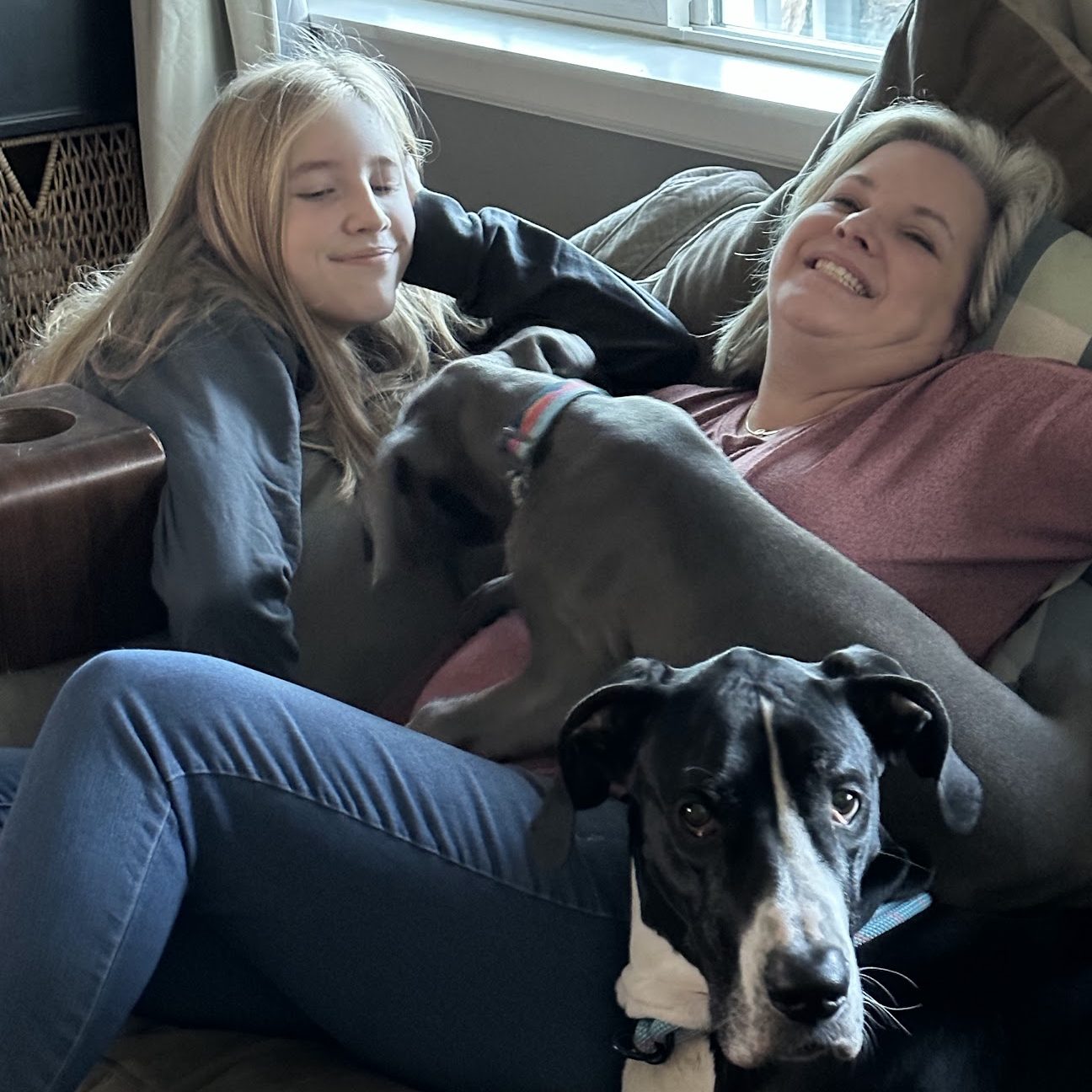 a woman and a teen snuggling on a couch with great danes.