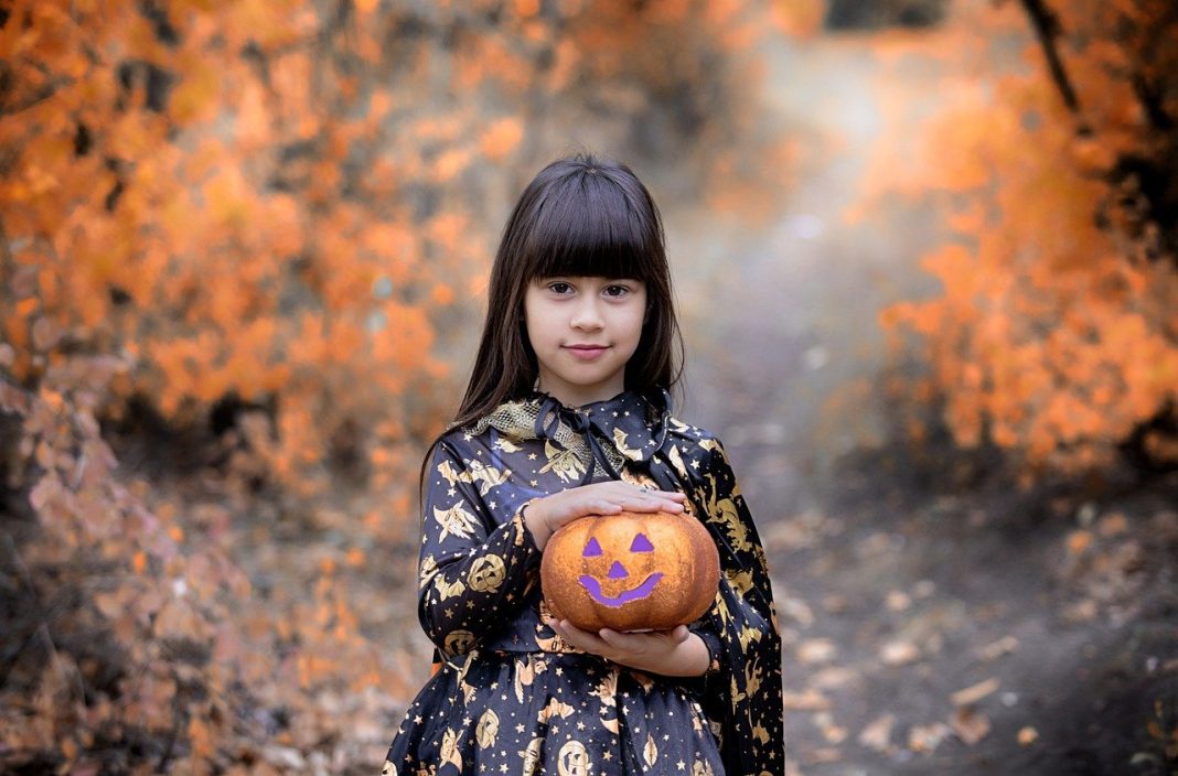 Little girl in a foggy woods in a witch costume holding a jack-o-lantern