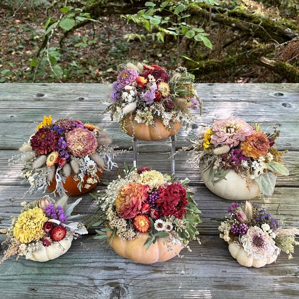 six dried flower arrangements in pumpkin-shaped containers