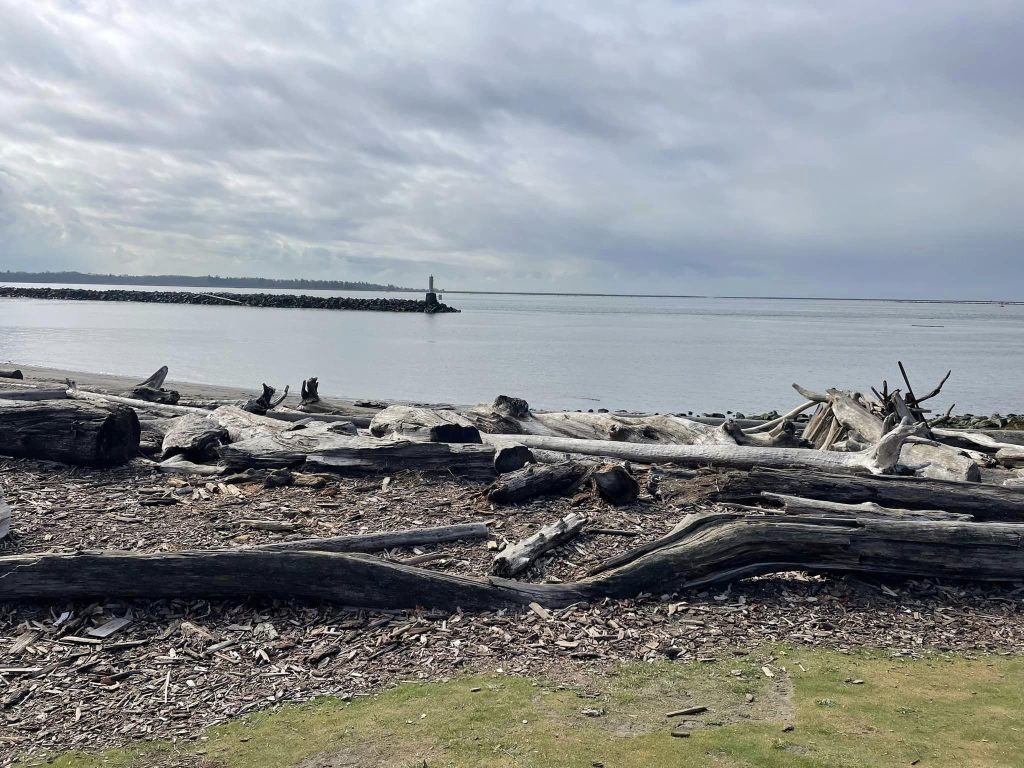 The seashore littered with driftwood and sea in Steveston, BC