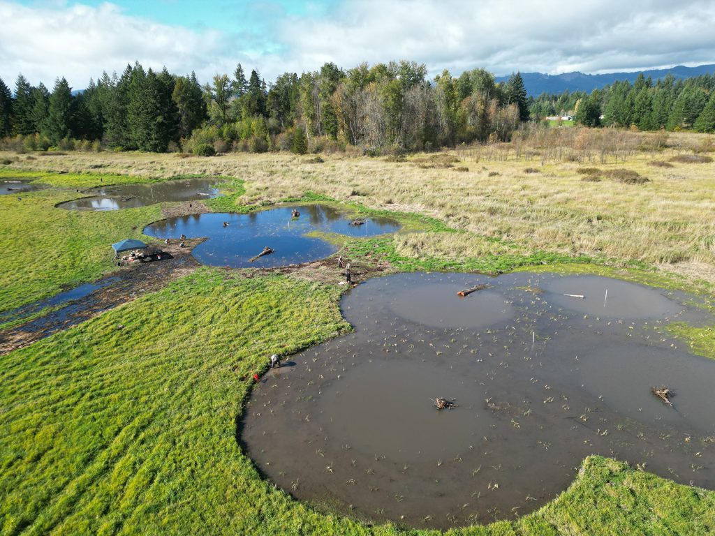 aerial view of the flooded ponds at Bloom Preserve