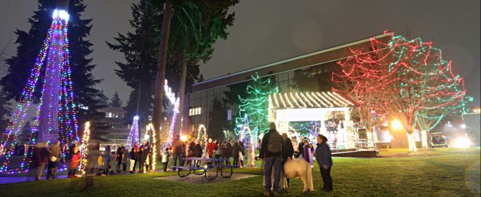 ground of people at a park with christmas lights and a mini horse