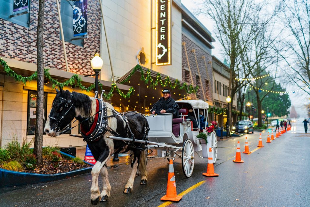 people taking horse drawn carriage rides in Downtown Olympia