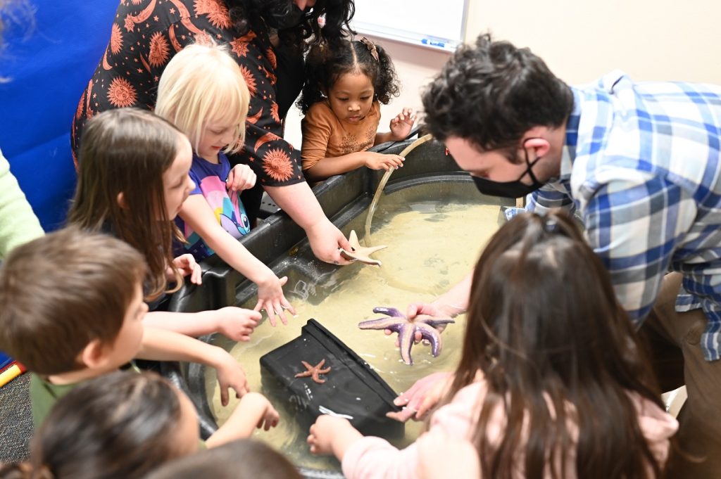 young kids have their hands in a black tub with salt water and sand. two adults are holding star fish