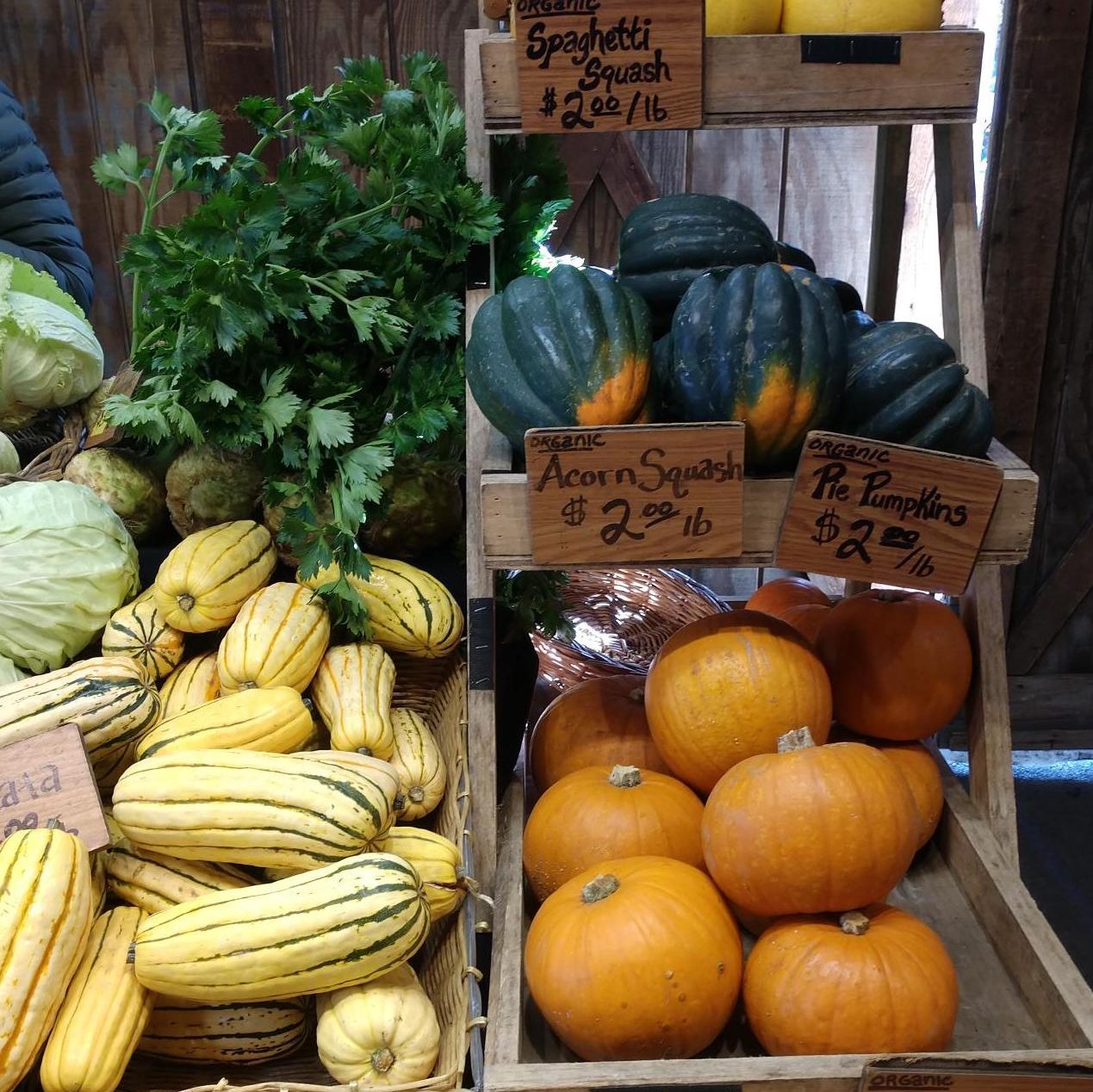 a wooden ladder shelf with different types of squashes and pumpkins on it.