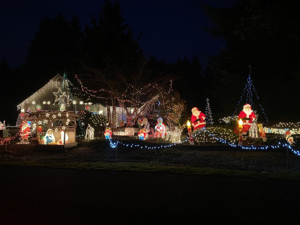 house covered in multicolored christmas lights with lots of Christmas displays in the yard.