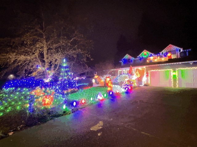 house covered in multicolored christmas lights with lots of Christmas displays in the yard.