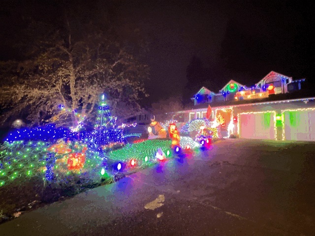 house covered in multicolored christmas lights with lots of Christmas displays in the yard.