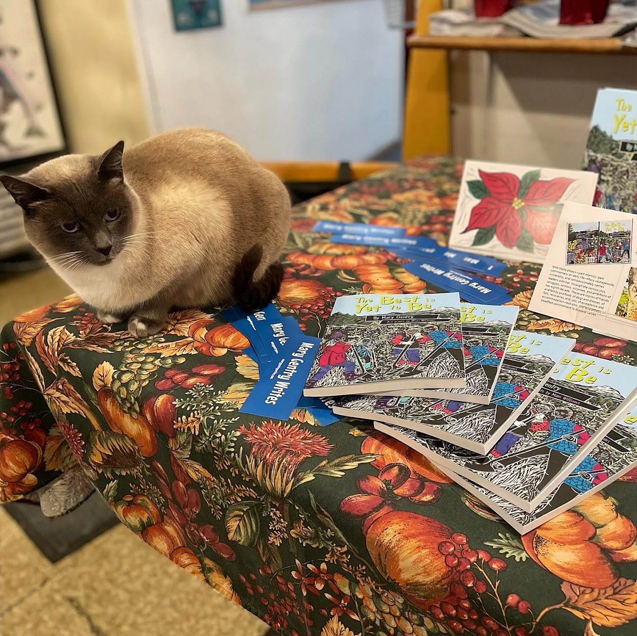 Siamese cat on a table with a bunch of Mary Gentry's books on it as well as postcards