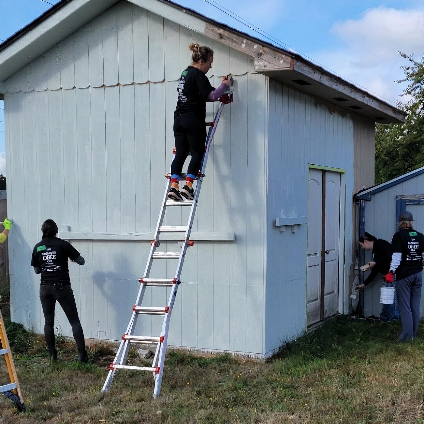 four women in black tshirts paint a shed. One is on a ladder