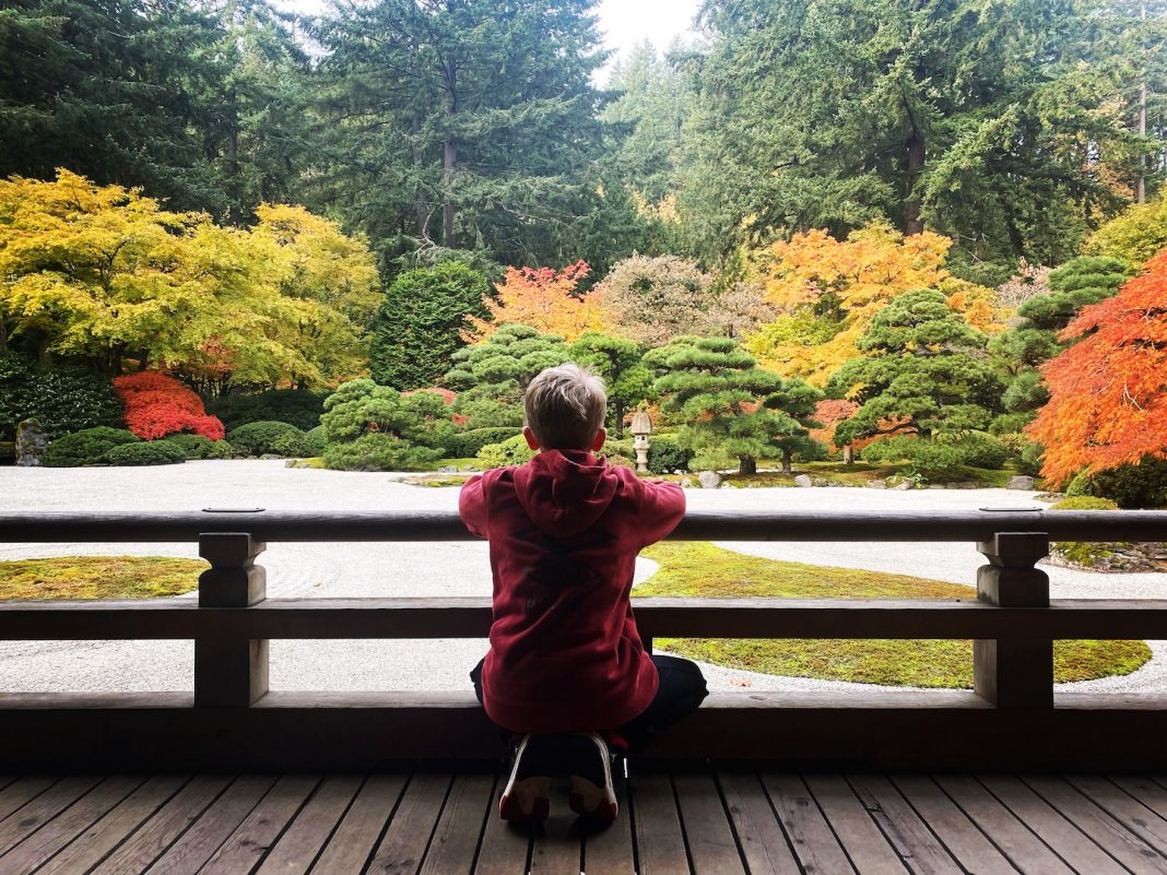 teenager squatting on a bridge over a Japanese-type garden