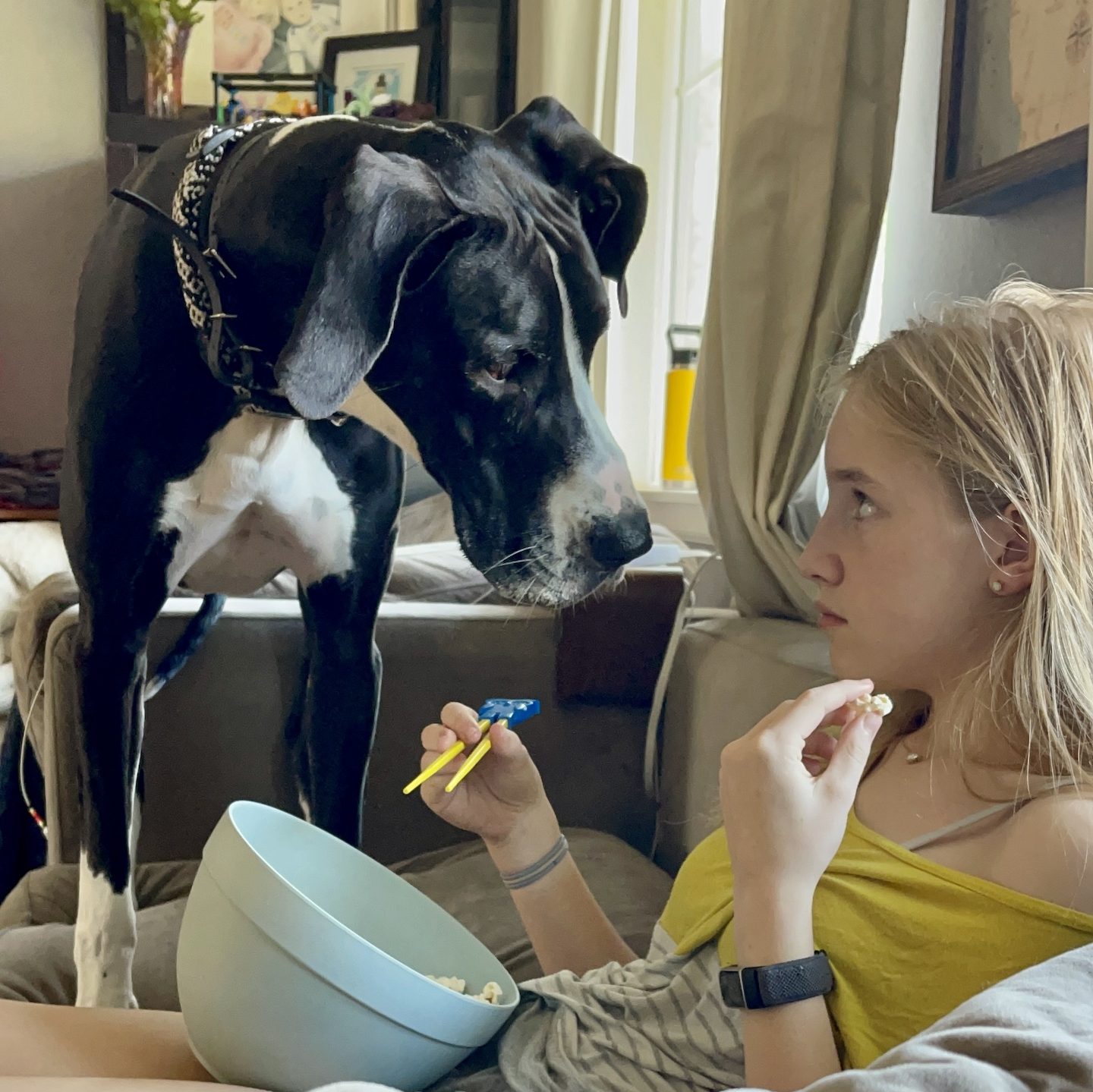 Teenager on a couch eating food with chopsticks while a great dane stares at her