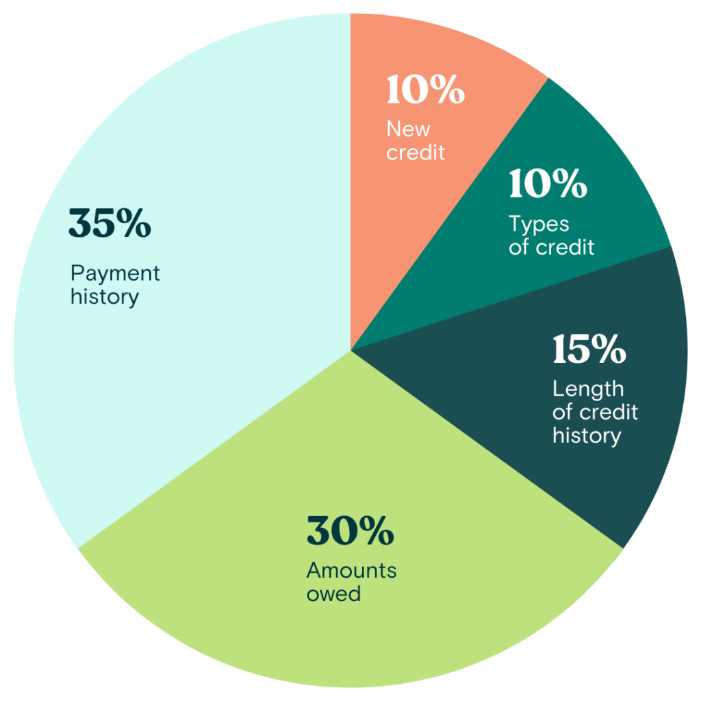 Pie chart showing different percentages that make up your credit score