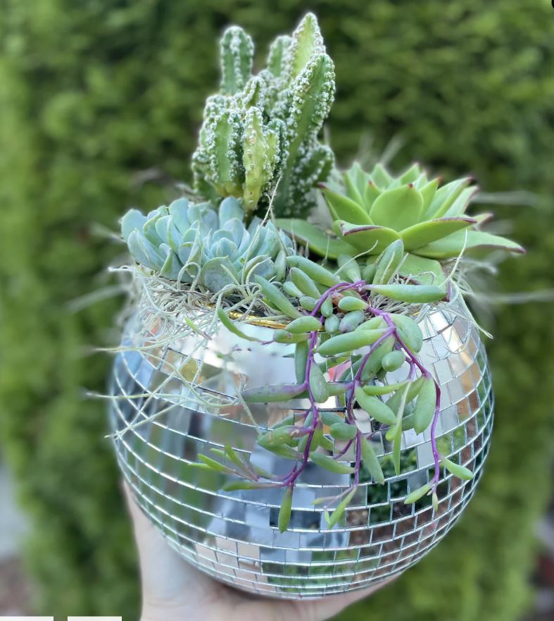 someone holding a disco-ball like planter with succulents inside